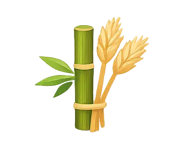 Doğal Bambu Kıyafet Üreticisi
